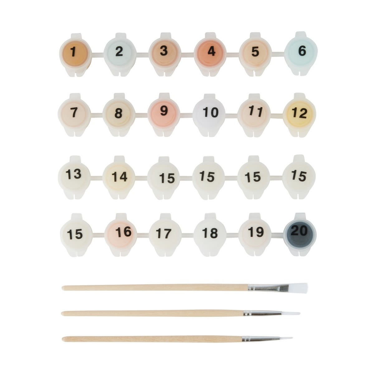 Paint By Numbers - Shell