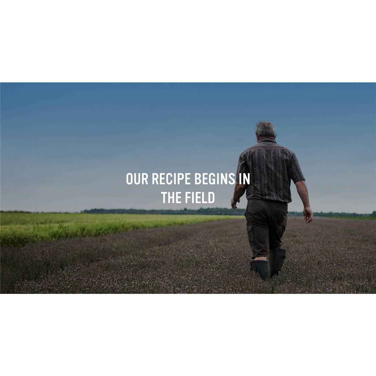 Continental Classics Simmer Soup French Onion 40g