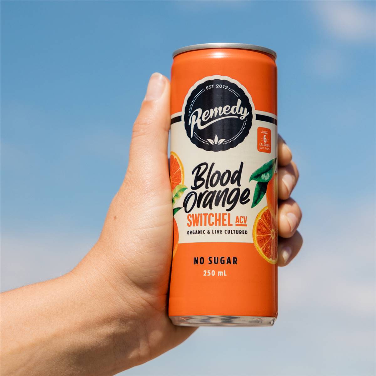 Remedy Switchel Blood Orange Cans 250mL x 4 pack