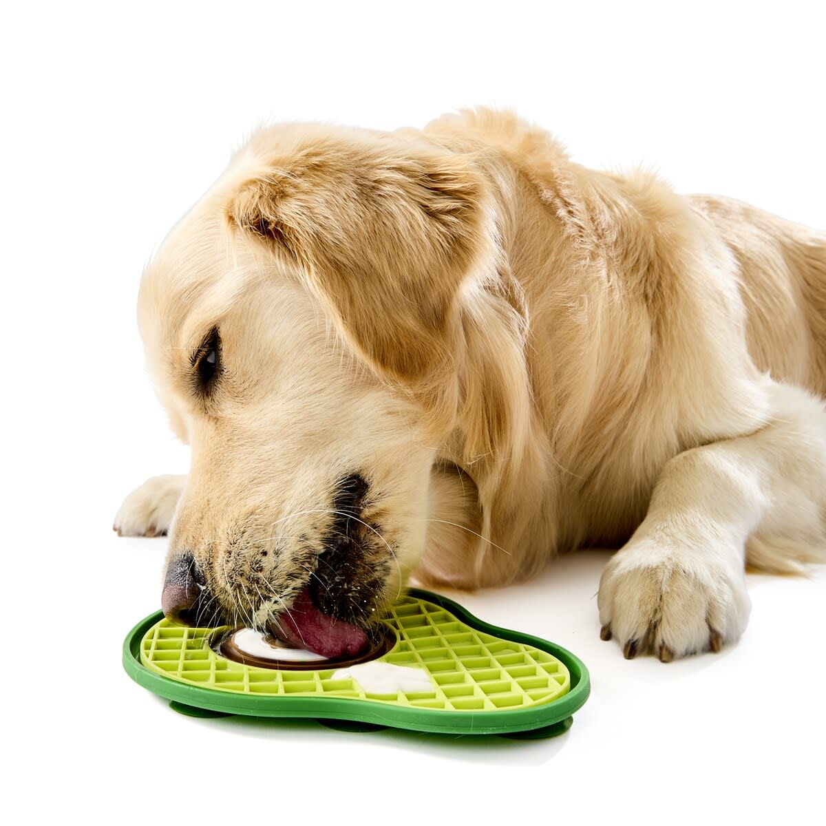 Novelty Pet Lick Mat - Assorted