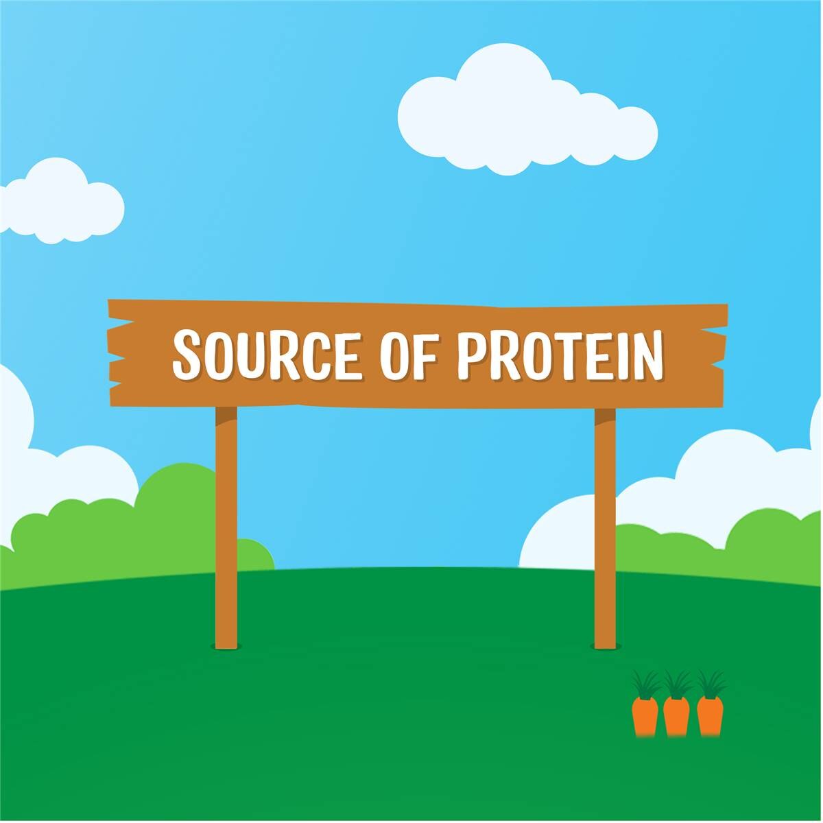 Rafferty's Garden Baby Food Pouch Chicken Vegetables & Rice 6+ Months 120g