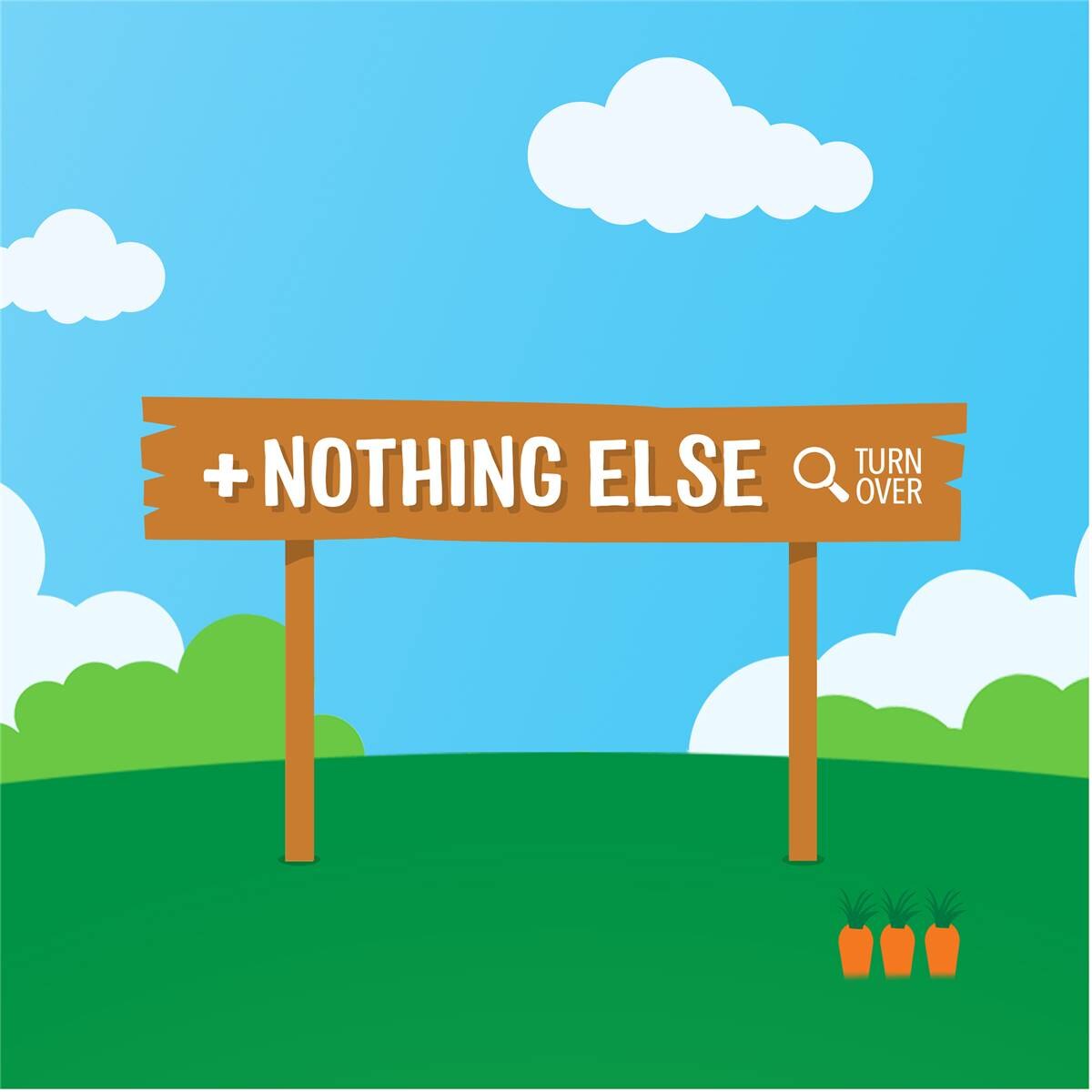 Rafferty's Garden Baby Food Pouch Pear & Prune & Nothing Else 4+ Months 120g