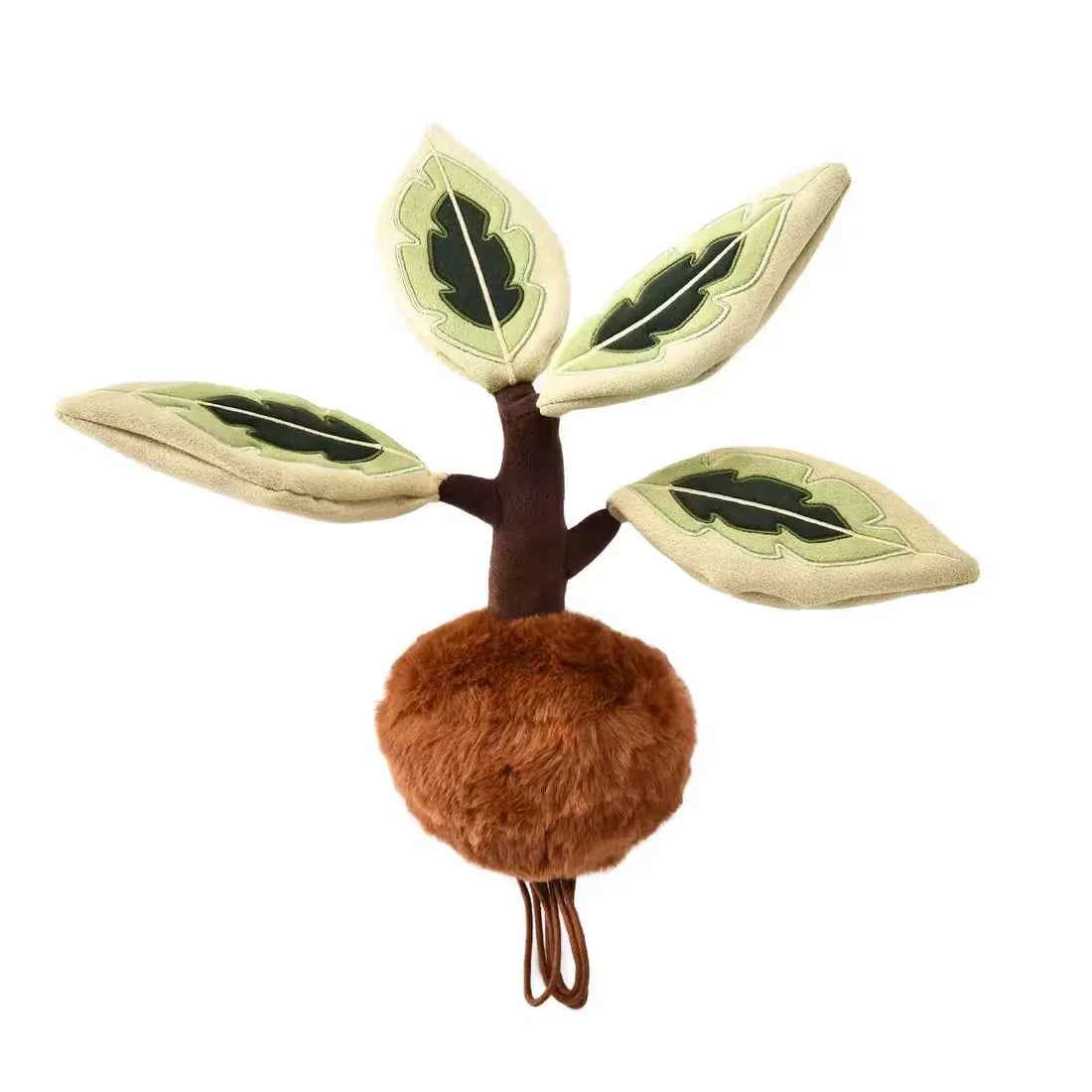 Plushwood Ficus Elastica Roxb.ex Hornem Plant Plush
