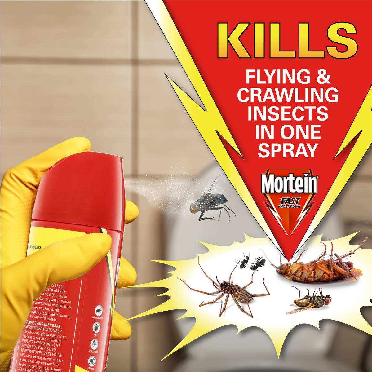 Mortein Fast Knockdown Multi-Insect Spray 300g