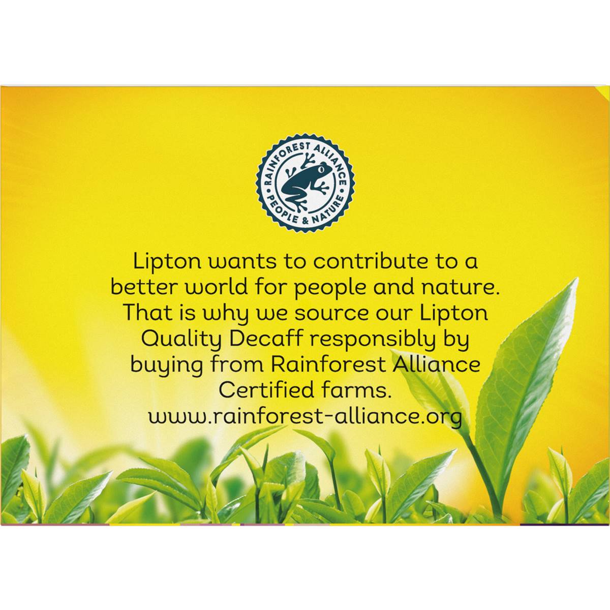 Lipton Black Tea Decaffeinated 50 Pack