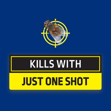 Raid One Shot Flying Insect Killer Spray Odourless 320g
