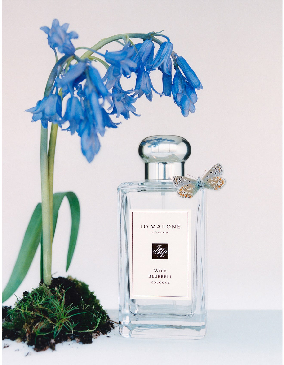Wild Bluebell Cologne 100ml