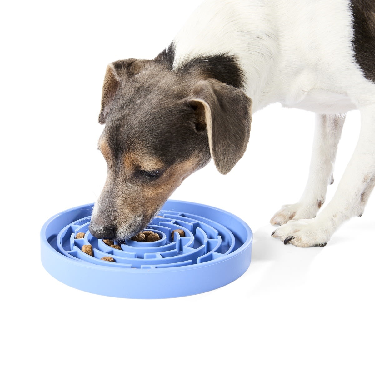 Pet Silicone Feeding Plate - Blue