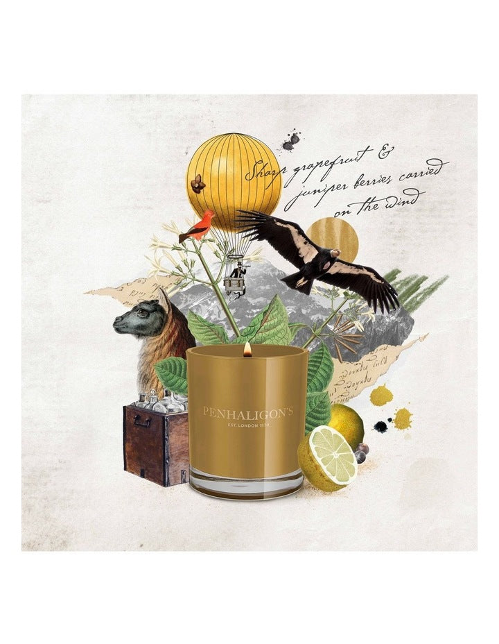 Calisaya Bark Medium Candle 200g