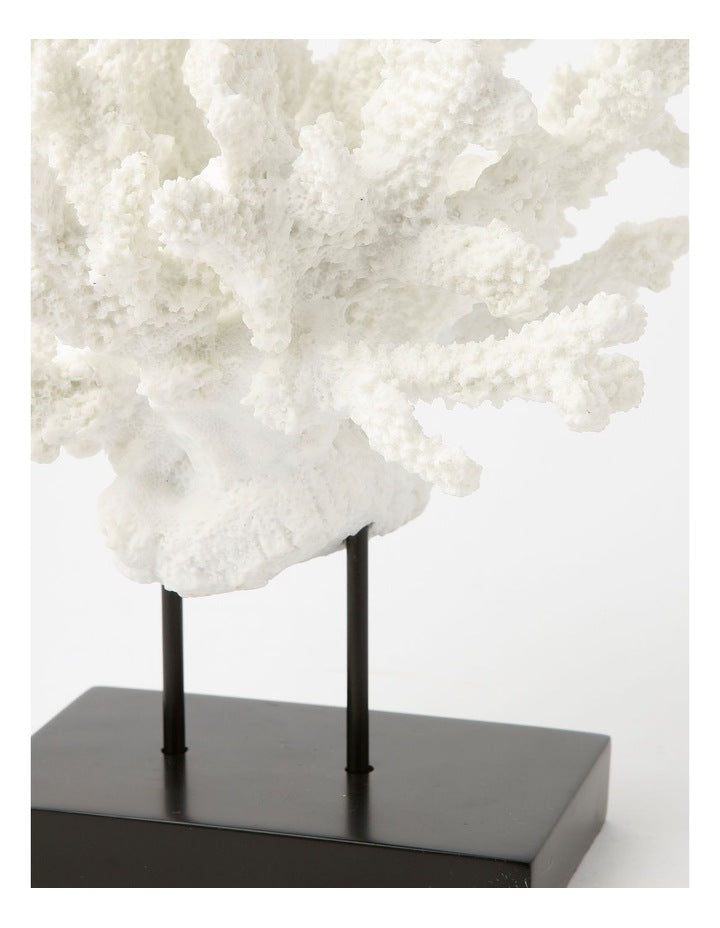 Atolle Coral Sculpture Small 21cm in White