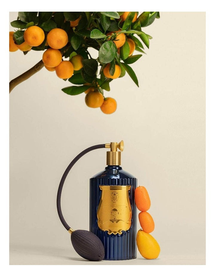 Reggio Room Spray 375ml