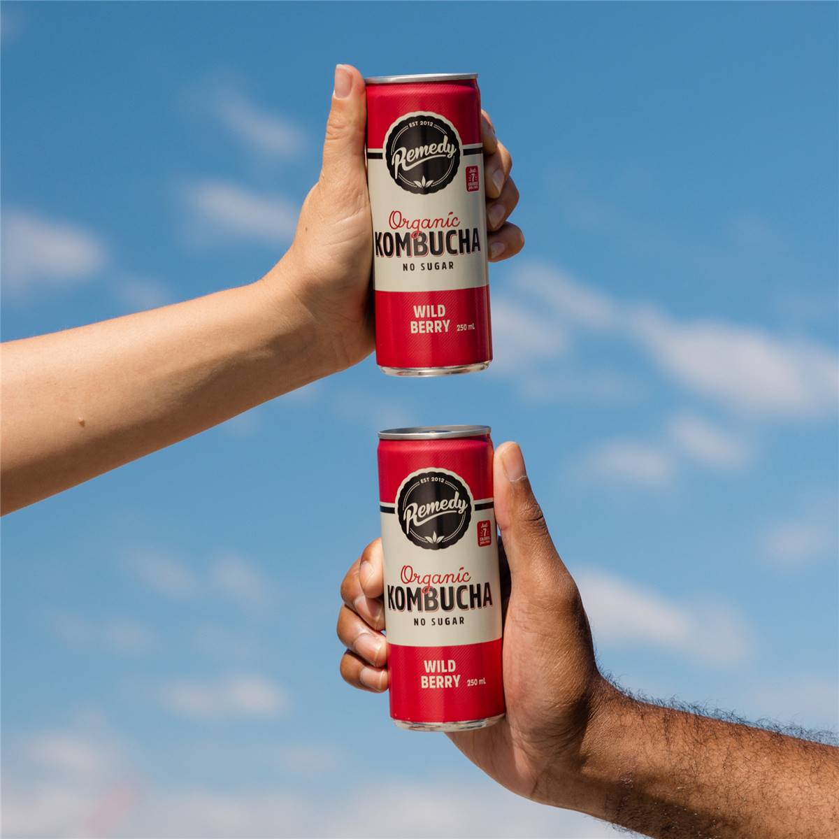 Remedy Organic Kombucha Wild Berry 250ml x4 Pack