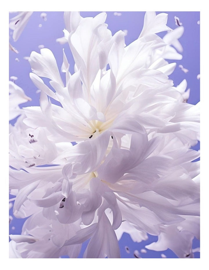 Scandal Eau De Parfum 75ml