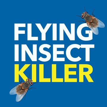 Raid Flying Insect Killer Spray Odourless 350g