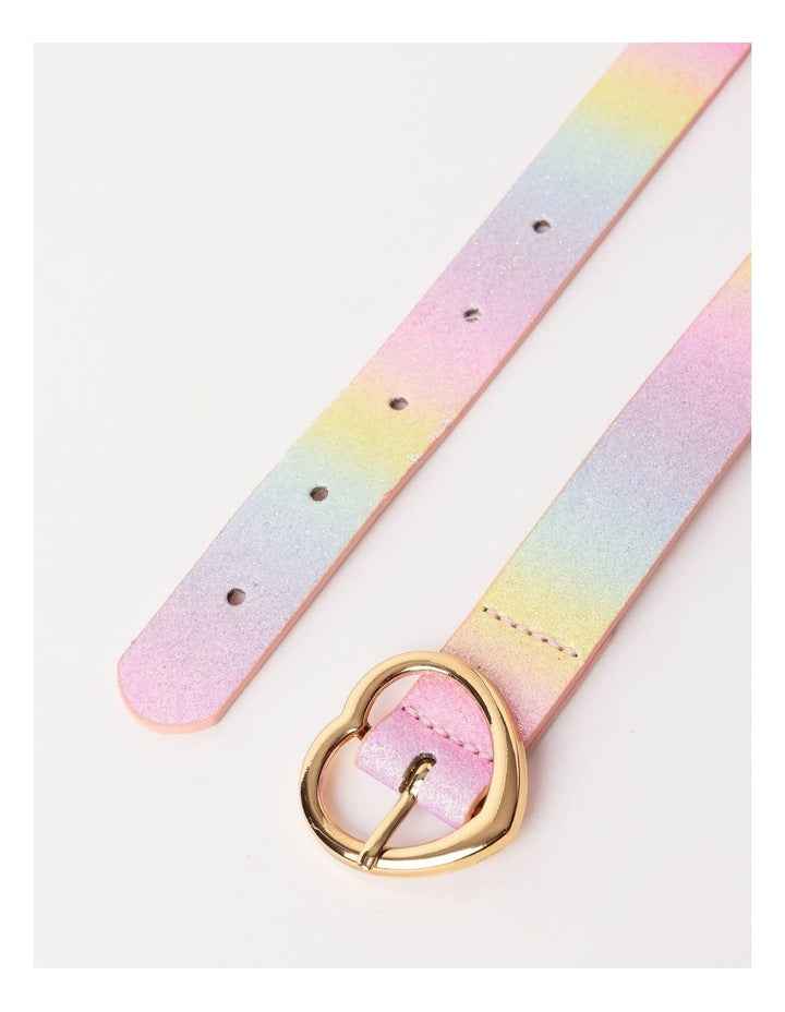 Ombre Rainbow Belt in Multi