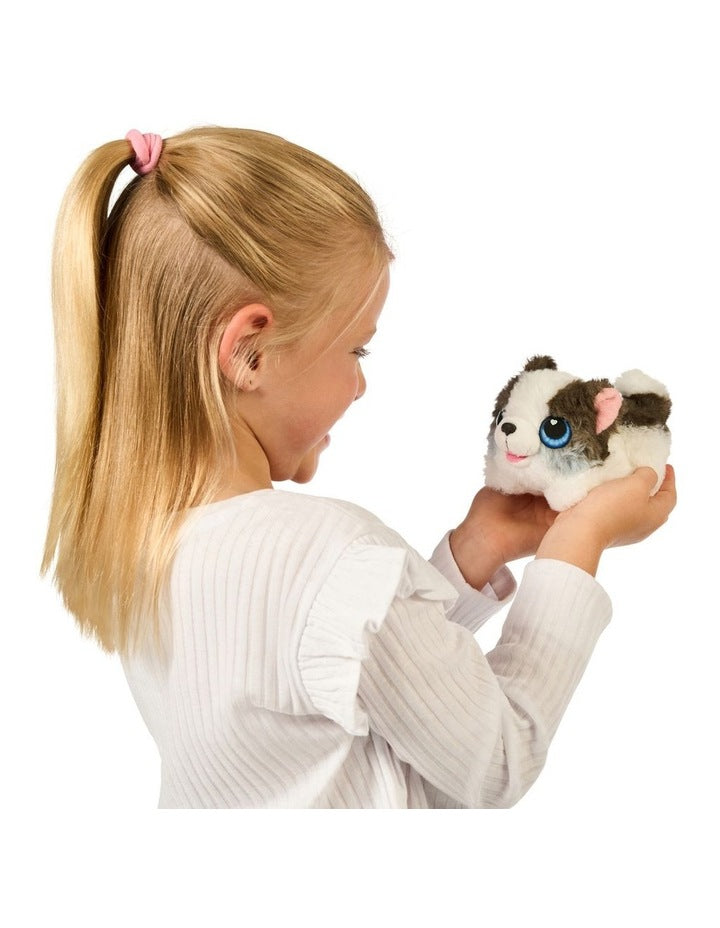 My Puppy's Mini Home