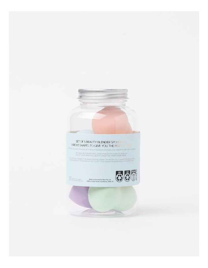 Set of 5 Sponges in Jar