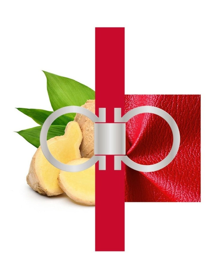 Ferragamo Red Leather Eau De Parfum 100ml