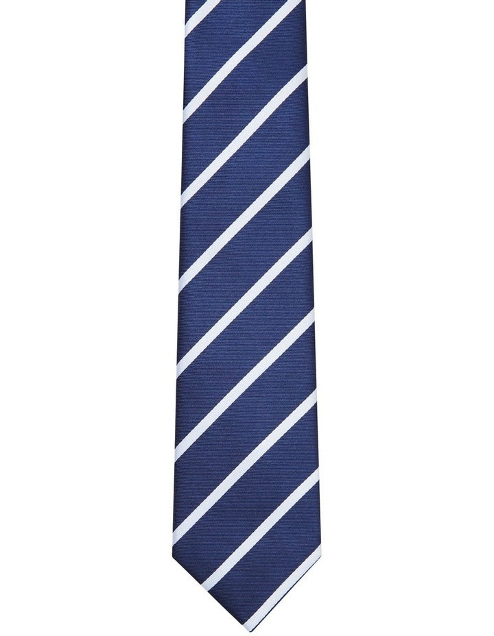 Tie Stripe in Navy