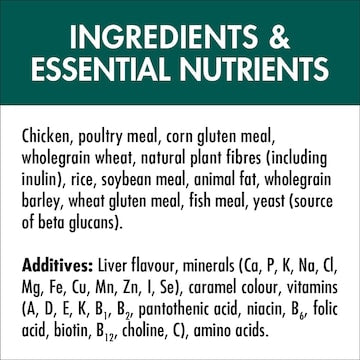 Purina One Adult Cat Food Caot & Hairball With Chicken 450g
