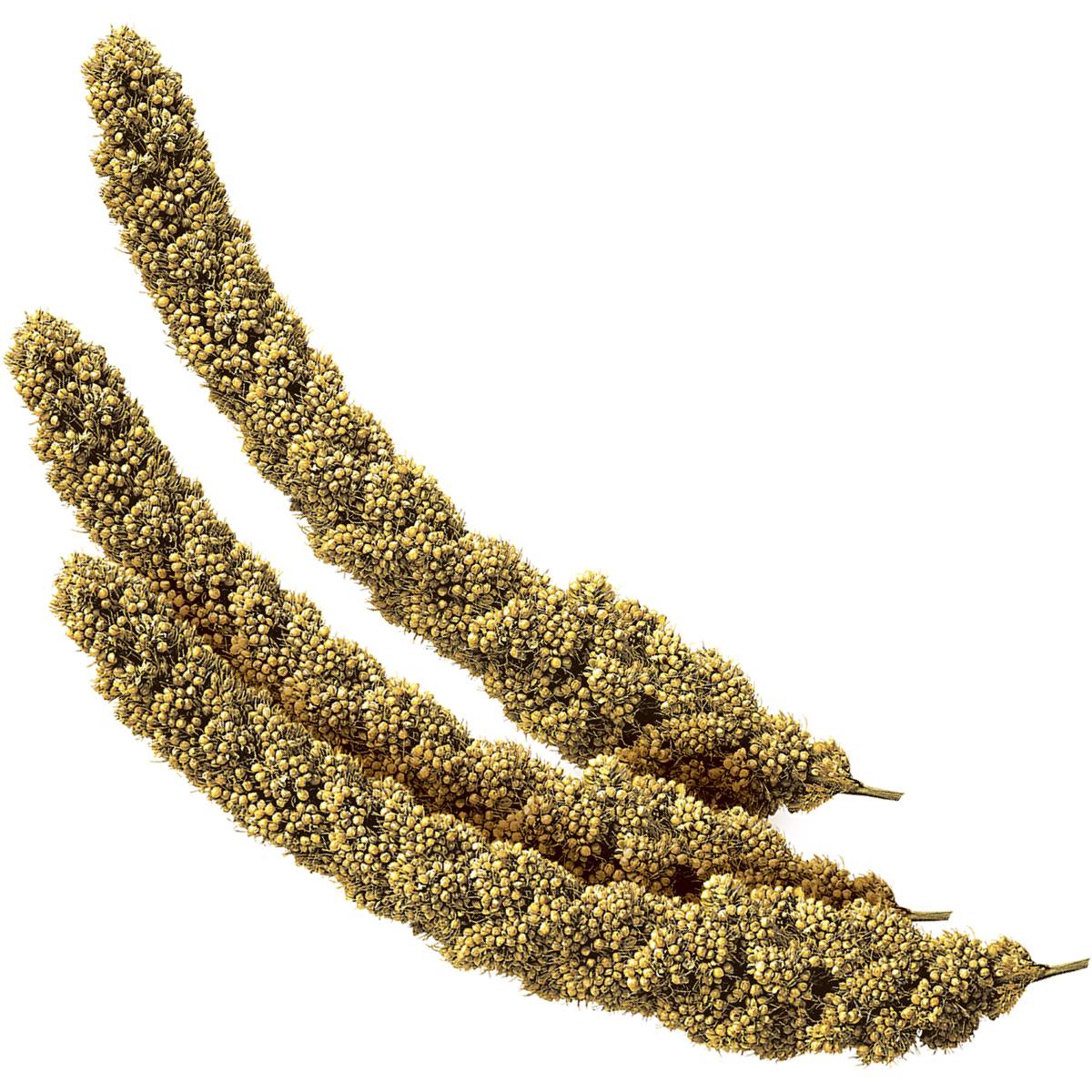 Trill Bird Millet Sprays 150g