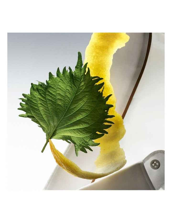 The Collection Vigorous Cologne Eau de Parfum