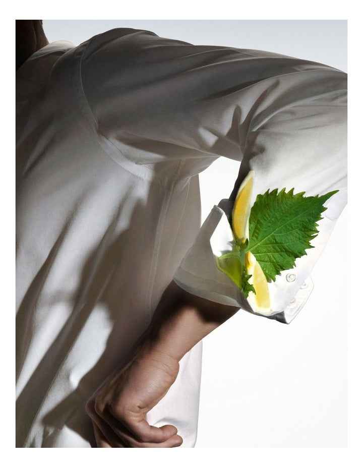 The Collection Vigorous Cologne Eau de Parfum