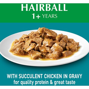 Purina One Adult Hairball Control With Chicken In Gravy Wet Cat Food 70g