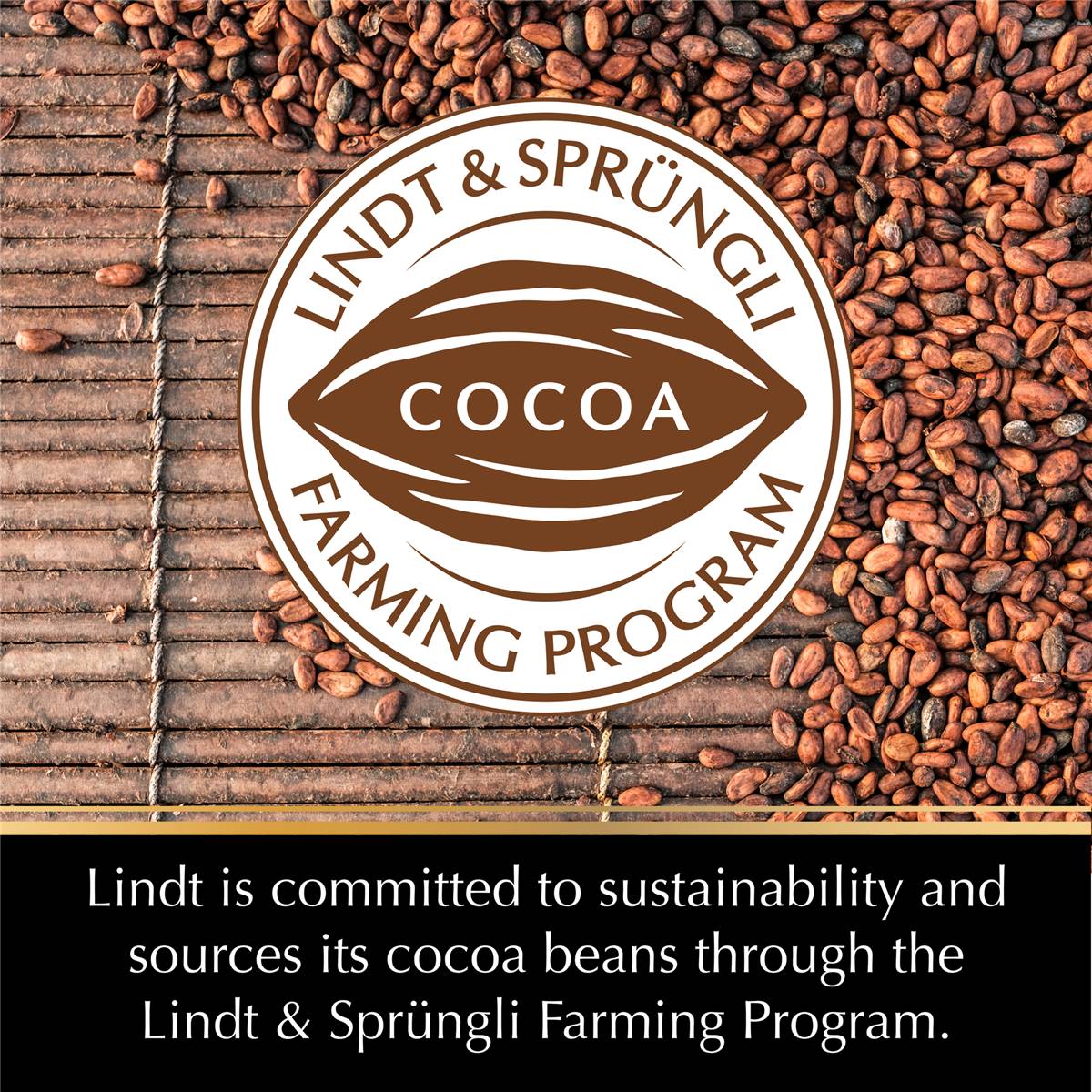 Lindt Excellence Dark Chocolate Orange Intense 100g Block