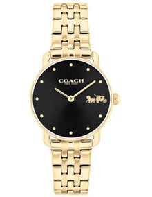 Cass Ionic Plated Steel and Plastic and Crystals Dial Watch in Multi