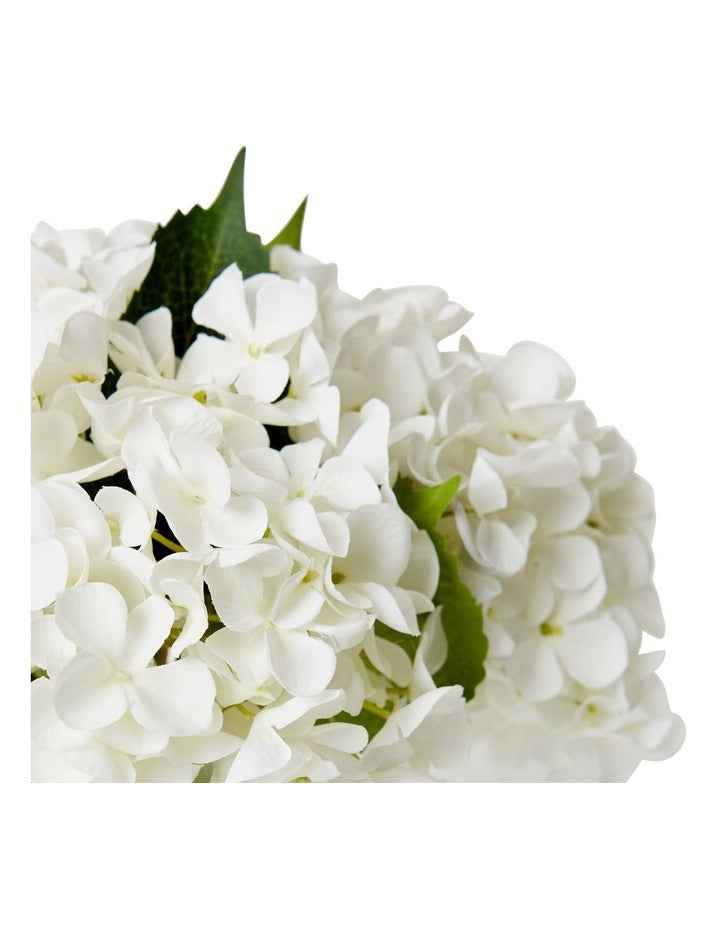 Hydrangea-Alma Vase 27cm in White