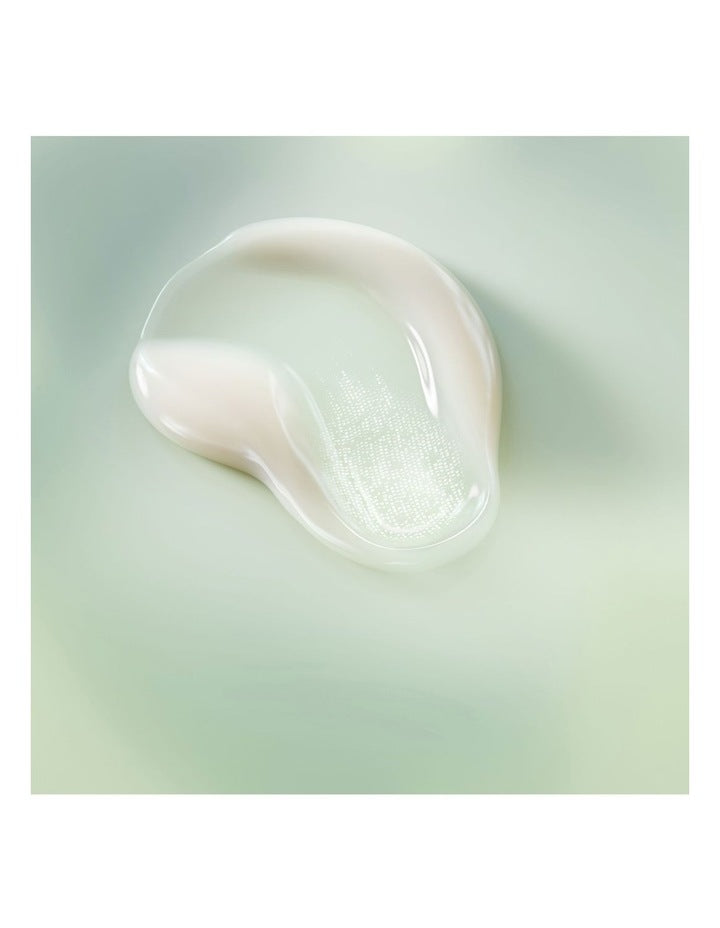 Face Cream Refill 60ml