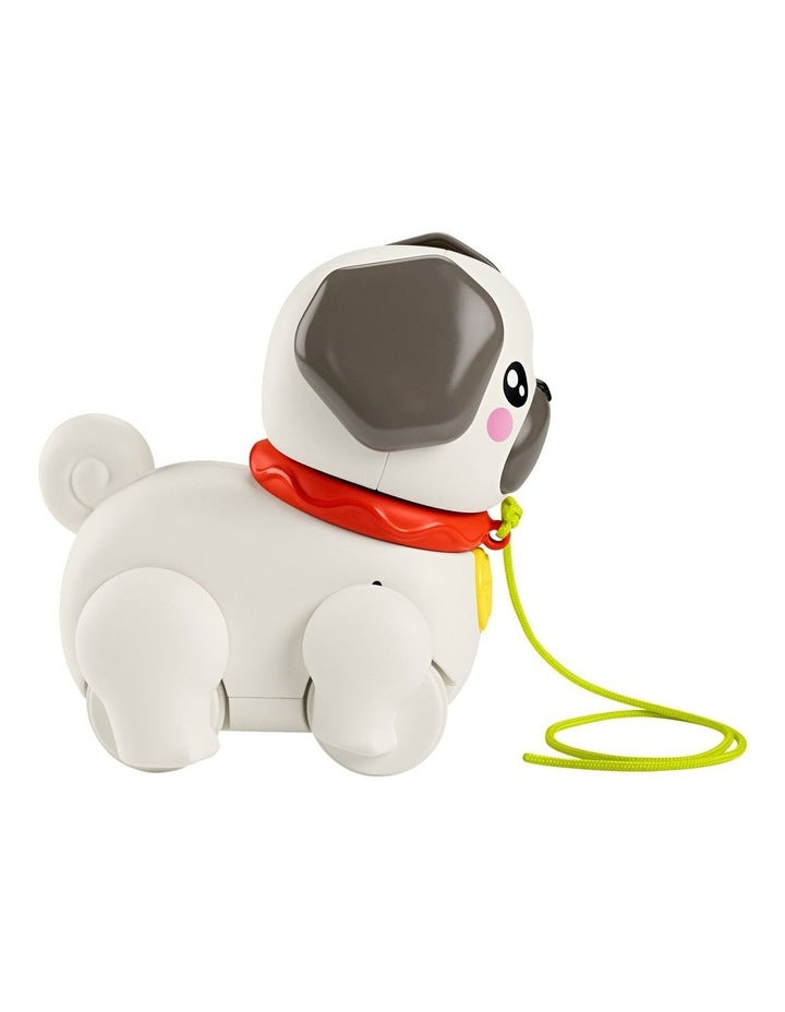 Pets Walk-The-Pup Pug