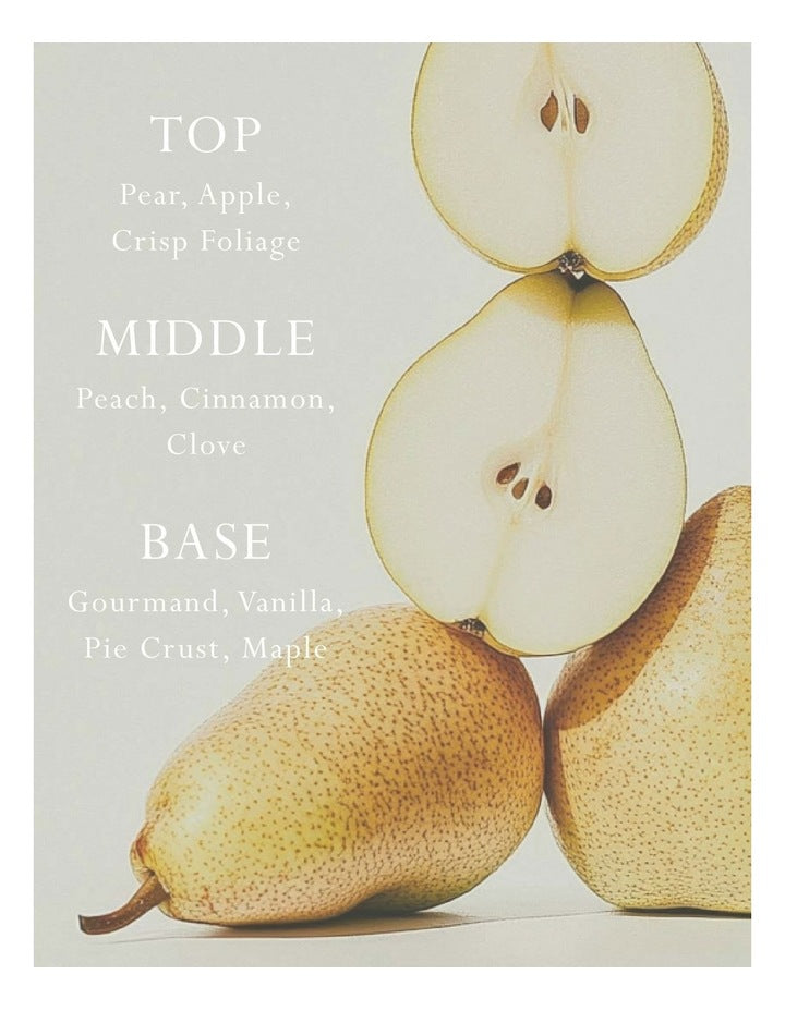 Italian Pear Car Diffuser - Fragrance Disc Refill