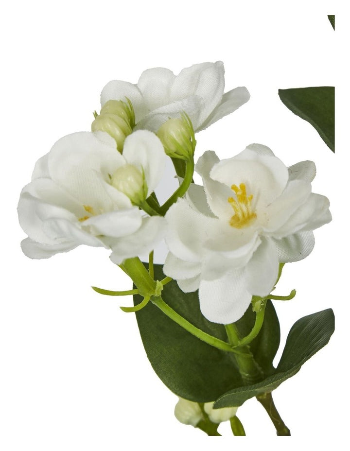 Jasmine Spray 60cm in White