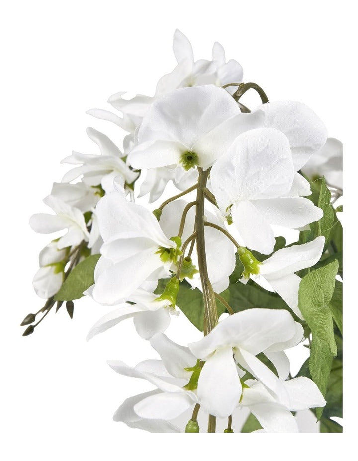 Wisteria Bush 81cm in White