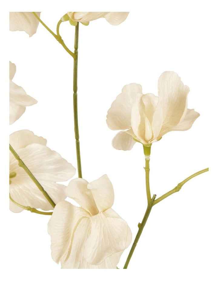 Jane Sweet Pea 60cm in Off White