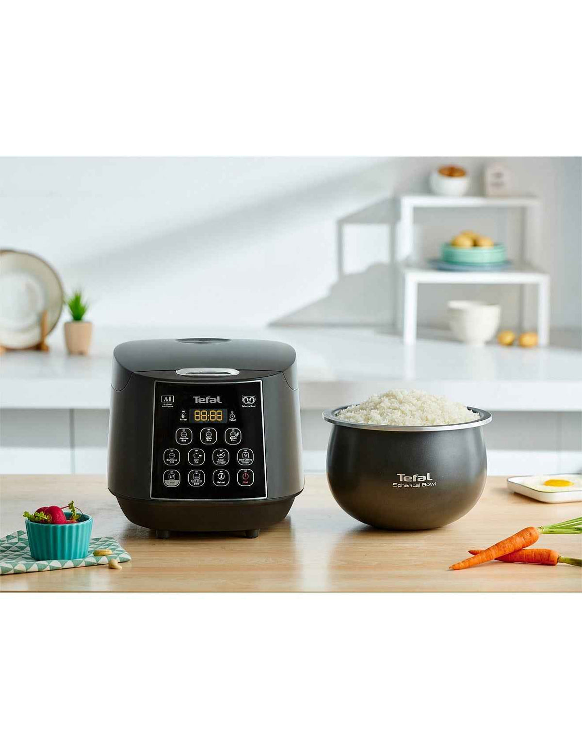 RK736B Easy Rice & Slow Cooker Plus
