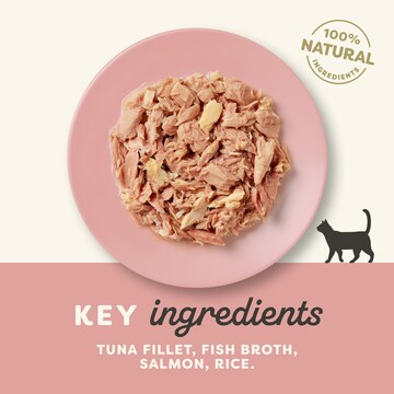 Applaws Tuna Fillet With Salmon Wet Cat Food 70g