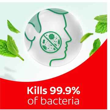 Colgate Mouthwash Freshmint Alcohol Free - Plax 1L