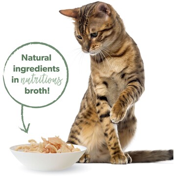 Pretty Wild Chicken Salmon Shredded Wet Cat Food 80g