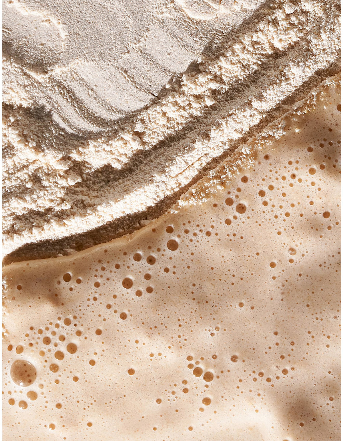 Daily Milkfoliant 74g