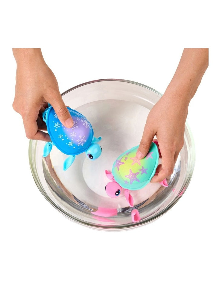 Turtle Single Pack in Assorted