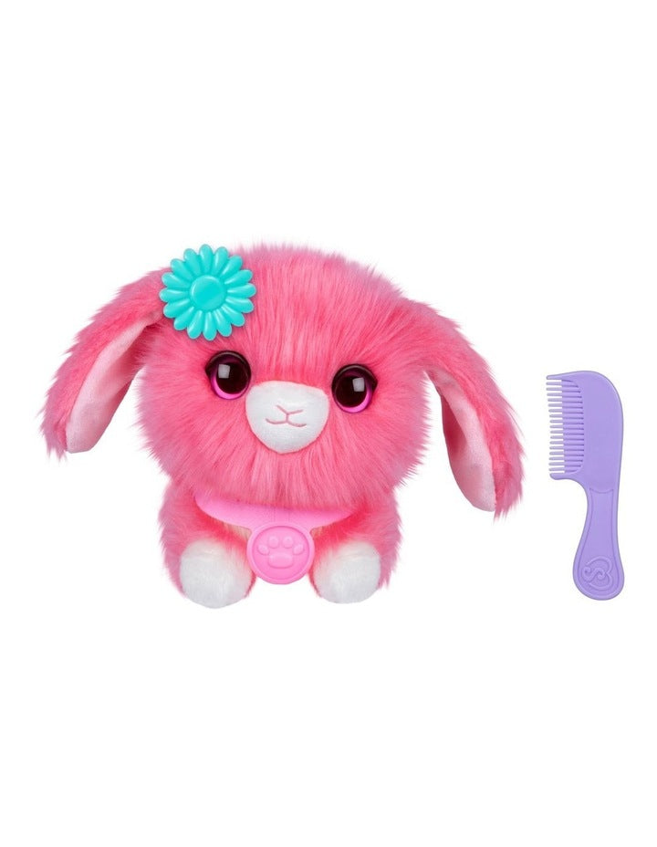 Single Pack Luvs Pet Scruffs