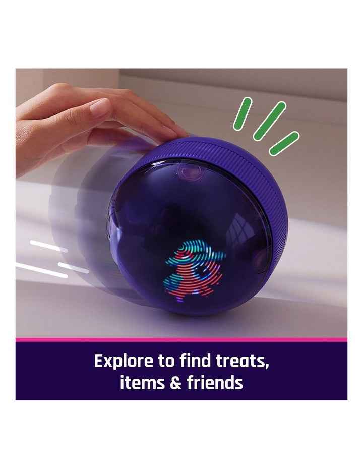 Ball Interactive Toy