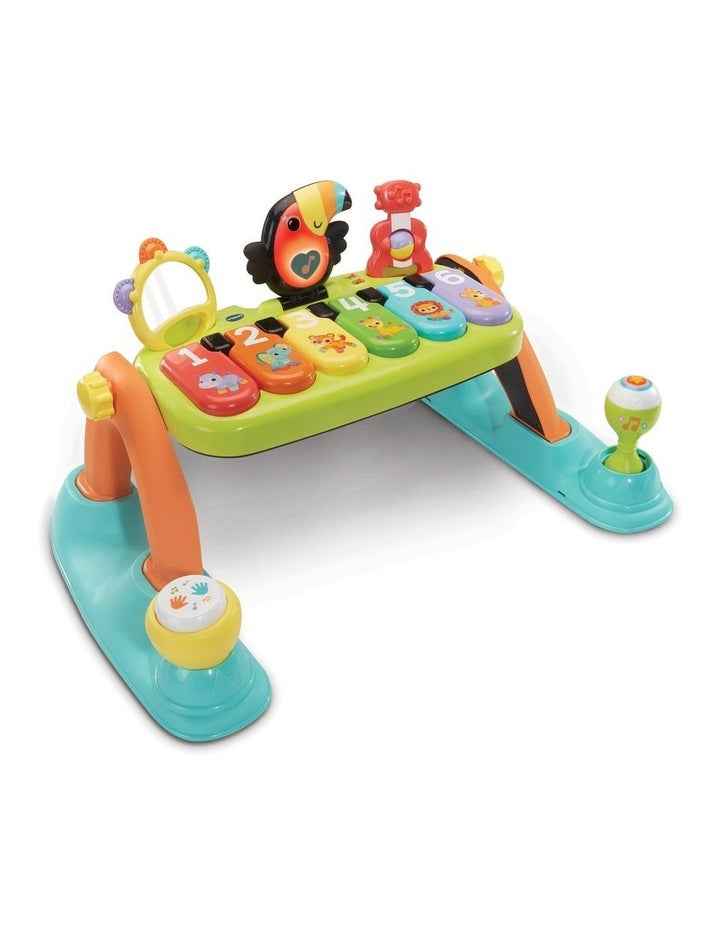 5-in-1 Toucan Tunes Play Gym