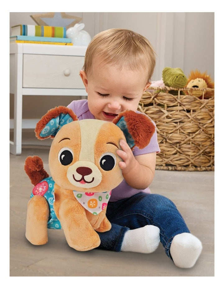 Walk and Wag Puppy