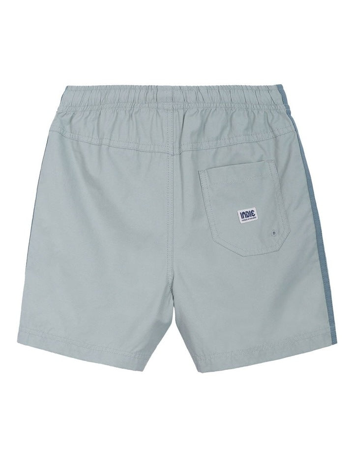 The All Day Stripe Swim Trunk (3-7 Years) in Meadow