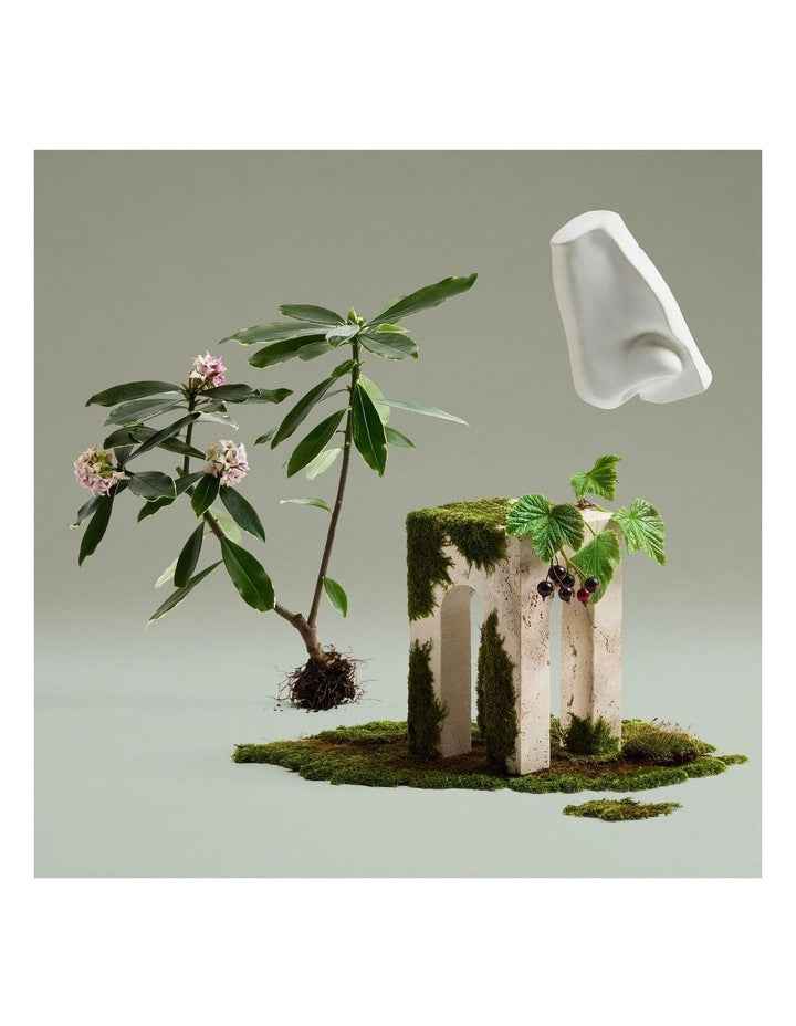 Daphne Bouquet EDP 100ml