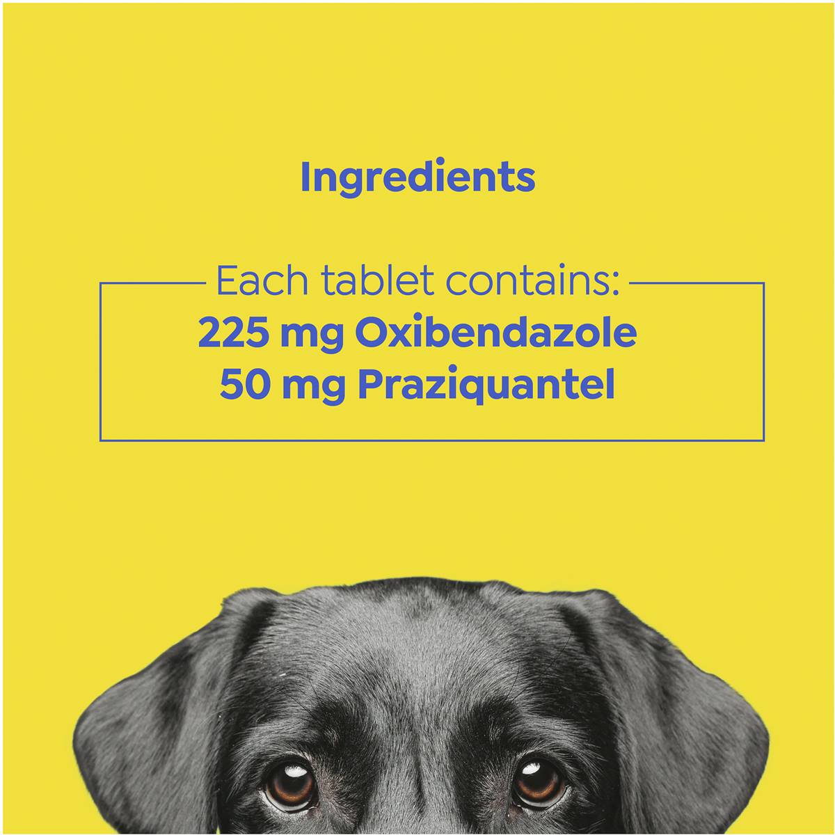 Total Care Allwormer For Dogs 4 Pack